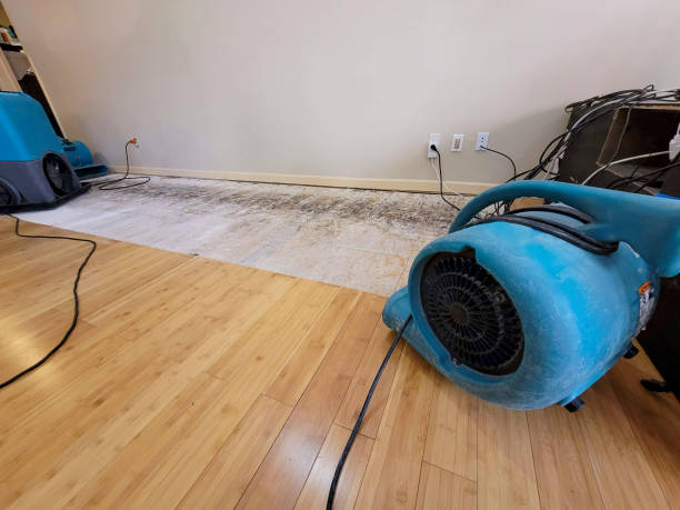 Professional Water Damage Repair technician working in Wagener, SC